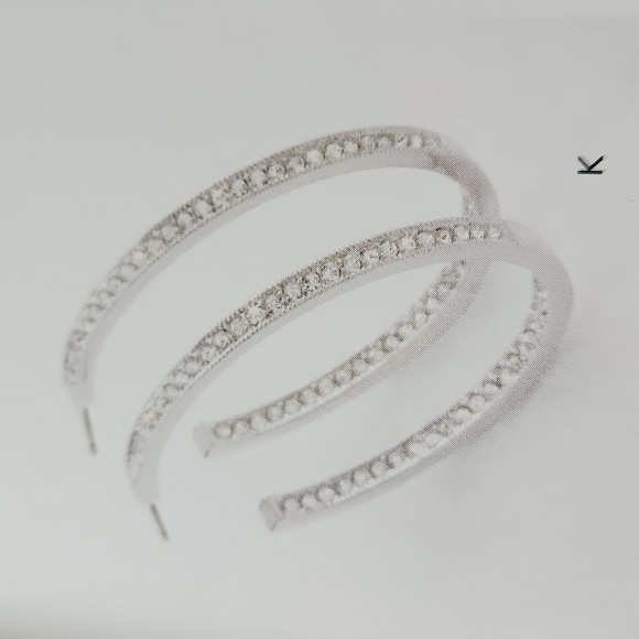 NEW Touchstone Crystal Hidden Gems Earrings - Picture 2 of 6